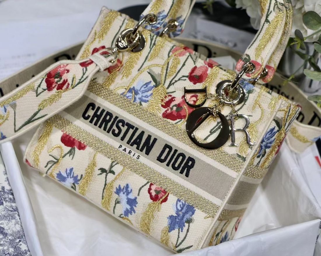 Lady Dior 24 cm