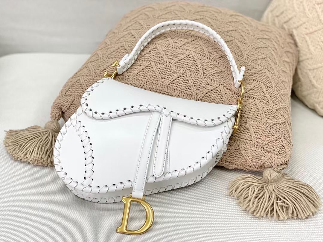 Dior Saddle Bag 25,5 cm