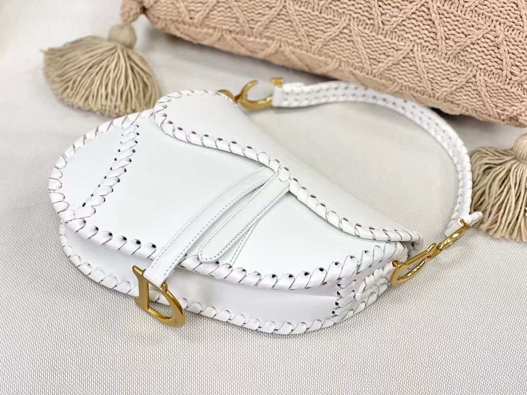 Dior Saddle Bag 25,5 cm
