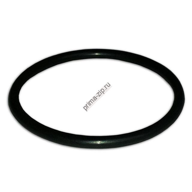 Кольцо уплотнительное АФНИ 754175.001