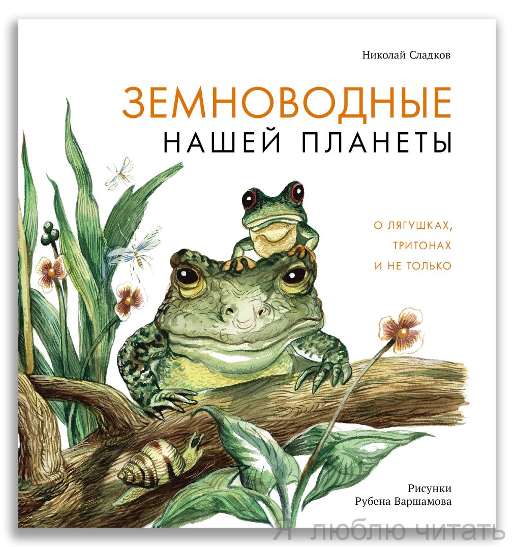 Земноводные нашей планеты
