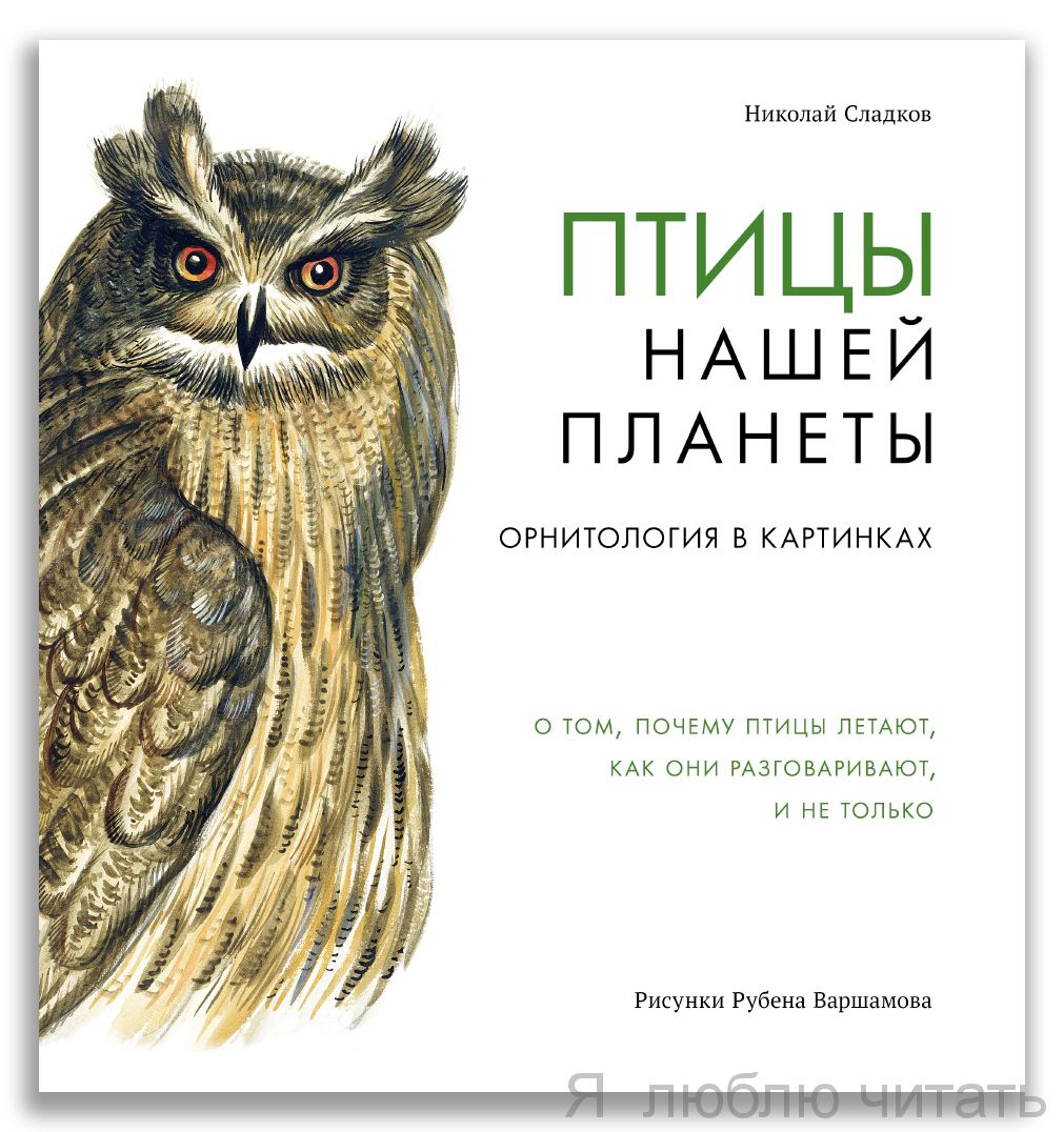 Птицы нашей планеты. Орнитология в картинках
