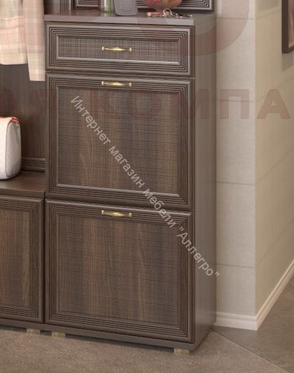 Тумба-обувница ТБ-1003 Карина Акация Молдау