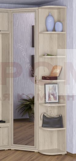 Шкаф ШК-1014 для одежды и белья угловой Карина