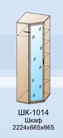 Шкаф ШК-1014 для одежды и белья угловой Карина