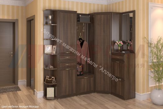 Прихожая КАРИНА комп.5 Акация Молдау