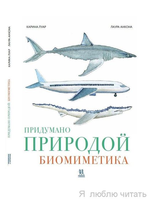 Придумано природой: биомиметика