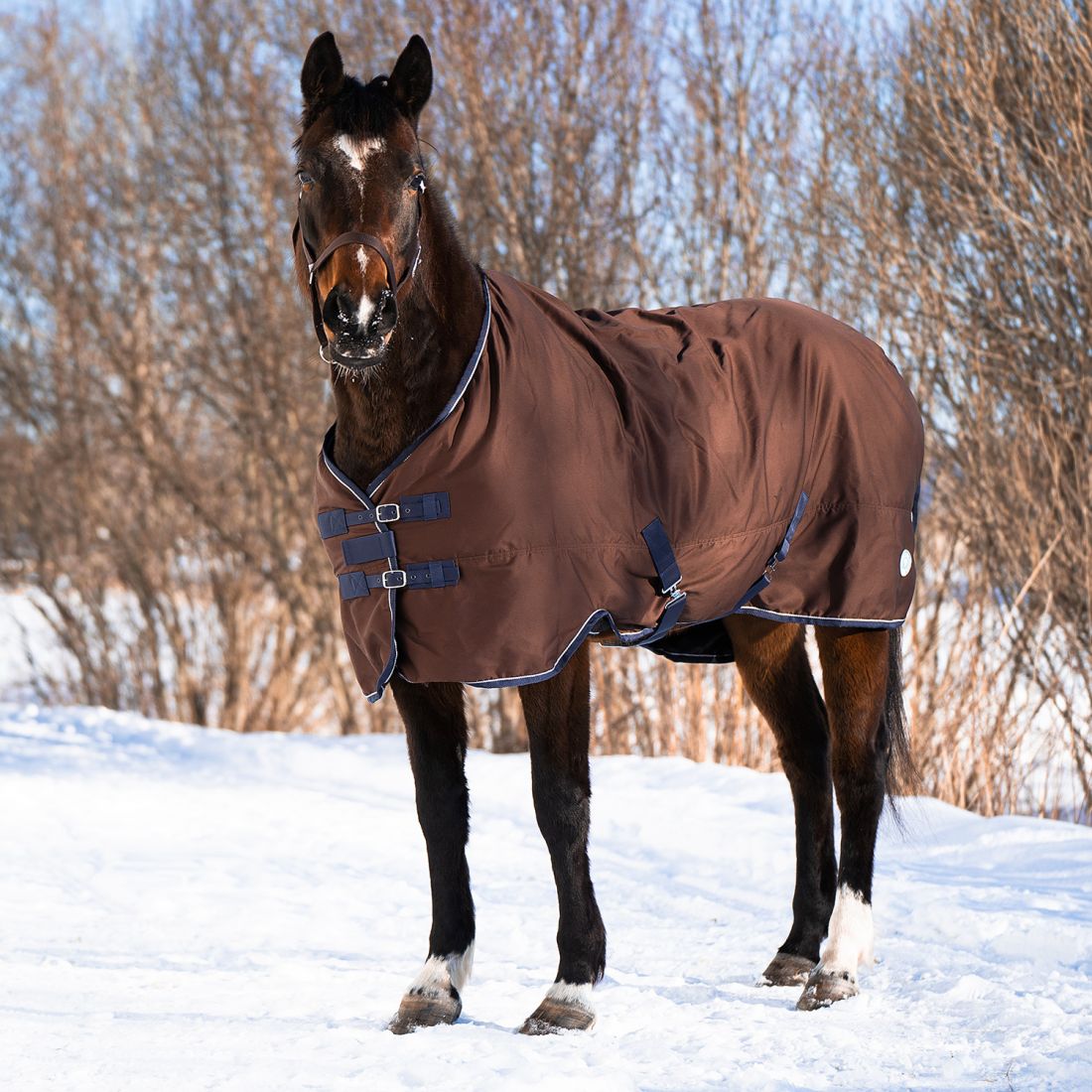 Попона денниковая FLEECE-LINED на флисе коричневый/синий, синий/коричневый