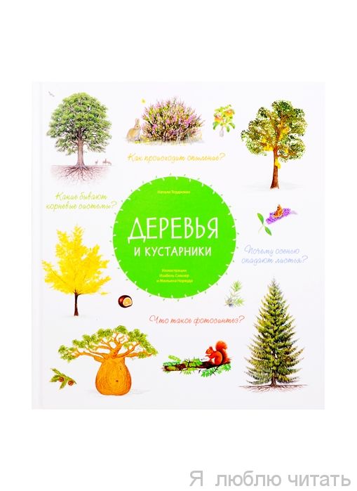 Деревья и кустарники