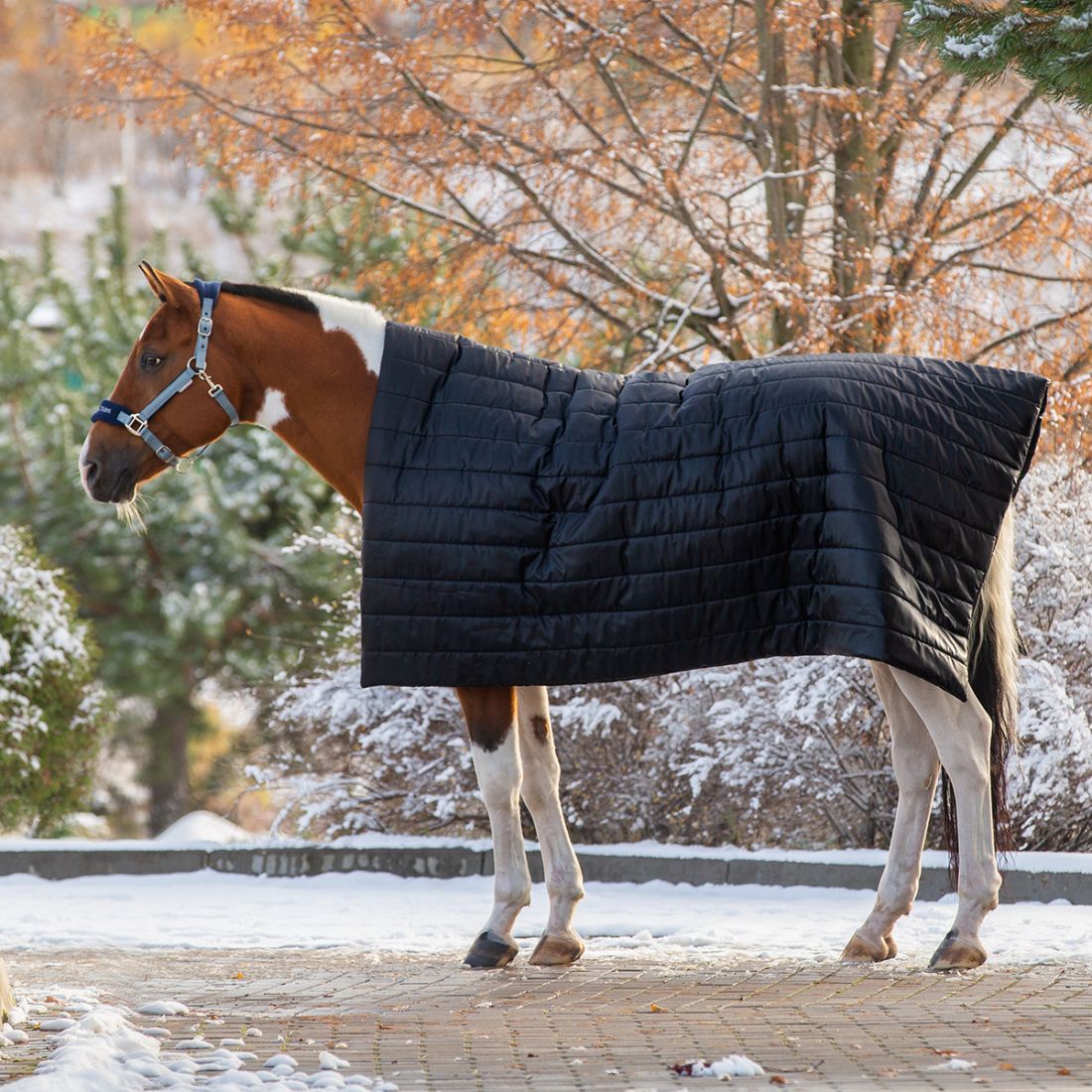Попона-плед BLANKET, 450 гр