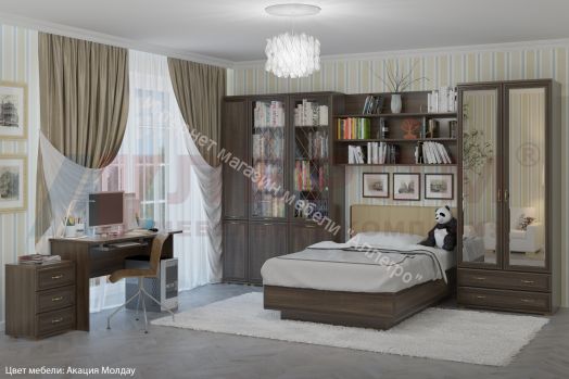 Шкаф ШК-1042 многофункциональный Карина