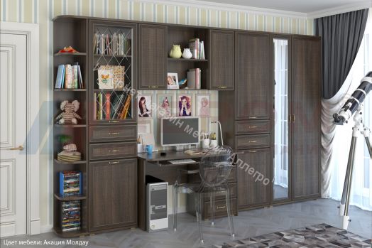 Шкаф ШК-1046 многофункциональный Карина