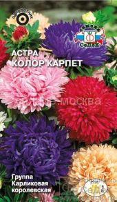 Астра Колор Карпет (СеДек)