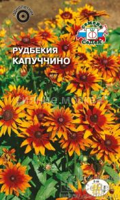 Рудбекия Капуччино (СеДек)