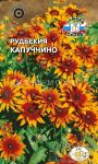 Rudbekiya-Kapuchchino-SeDek