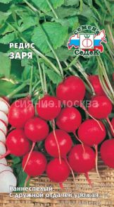 Редис Заря (СеДек)