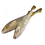 Навага  с головой тушка 20+ см Мурманск упаковка 12 кг