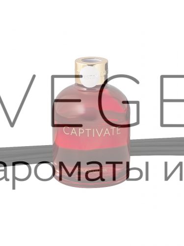 Диффузор ОЧАРОВАНИЕ 150мл StoneGlow Инфузия