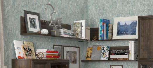 Полка ПЛ-1004 навесная Карина