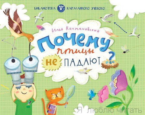 Почему птицы не падают