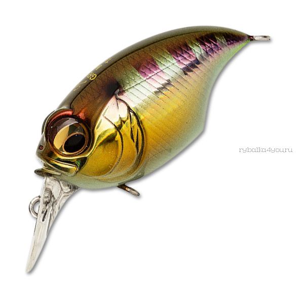 Воблер Megabass Griffon SR-X New 43F 43 мм / 7 гр / Заглубление: 0,6 - 1,3  м / цвет: GG Gill