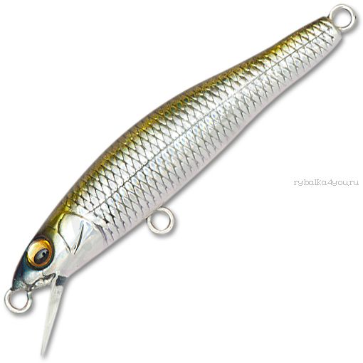 Воблер Megabass X-55 Minnow F 55 мм / 2,9 гр / Заглубление: 0,6 - 0,8 м / цвет: GG Tennessee Shad