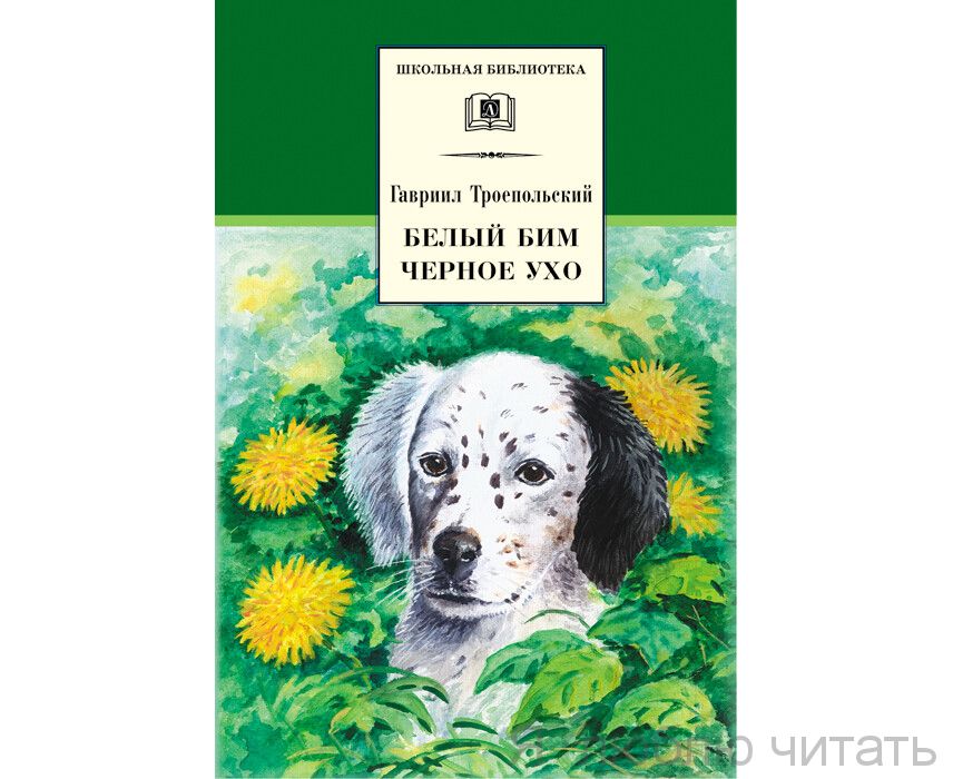 Белый Бим Черное ухо