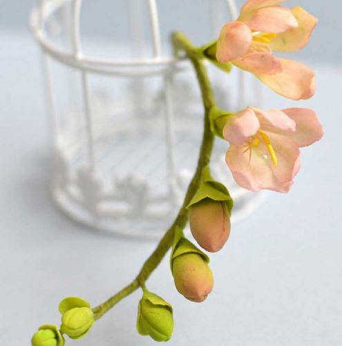 [Где торт?] Сахарная Фрезия (Евгения Бочарова)