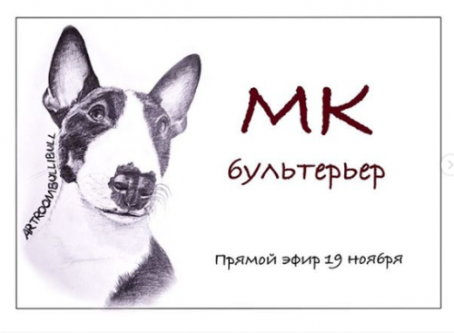 [Лепка] Бультерьер (Владлена Нестерова)