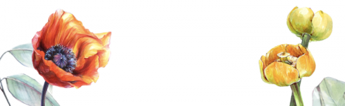 [Marker School] Ботаническая Иллюстрация маркерами. Базовый курс (Юлия Максимова)