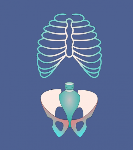 [МГХПА] Позвоночник. Грудная клетка. Таз (Александр Рыжкин)