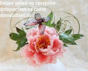 [сладость] Сахарные цветы в английской технике. Пион и бабочка (Анна Галич)