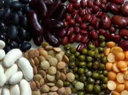 [yoga-detox] Ферментариум: 12 модуль Ферментированные каши и бобы (Юлия Мальцева)