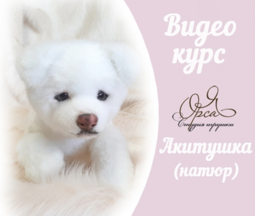 Акитушка (натюр) (Янина Орса)