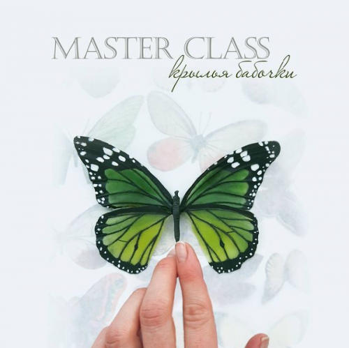 Крылья бабочки (Лиана Каримова)