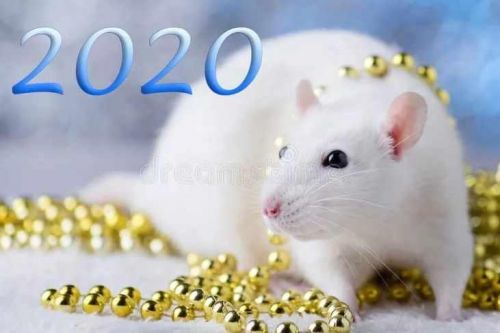 2020 год золотой крысы (Снежана Тихонова)