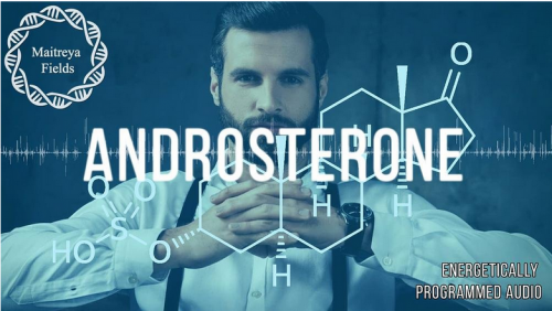 Чистый андростерон - Альфа-самец и уважение (Maitreya Fields)