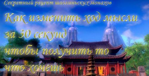 Как изменить ход мысли за 30 секунд, чтобы получить то, что хочешь (Инесса Власова)