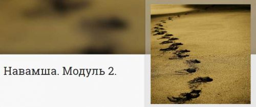 Навамша. Модуль 2 (Анна Ласточкина)