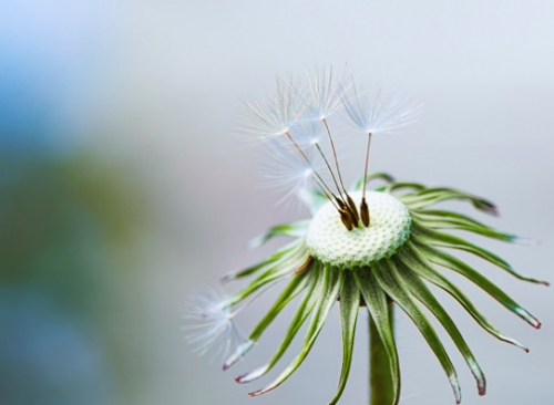 Нужда в деньгах (Инга Ким)