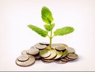 Символические звезды и здоровье в бацзы (Анна Зайцева)