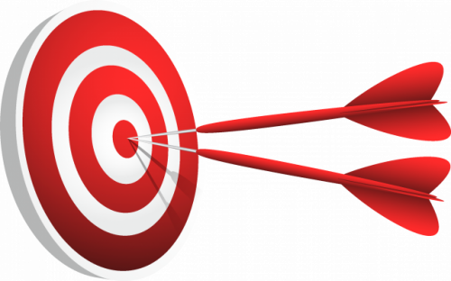 Денежный мозг тариф Обычный (Владмира Симуран)