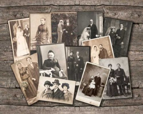 Мой род: ресурсы и смыслы. Онлайн-курс по работе с полем семейных систем (Елена Веселаго)