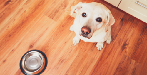 Просто скажи: как научиться говорить о важном (Михаил Лабковский)