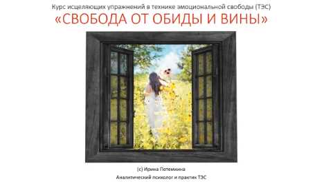 «Свобода от обиды и вины». Истинное прощение (Ирина Потемкина)