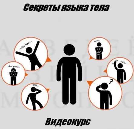 [LendWings] Секреты языка тела (Ванесса Ван Эдвардс)