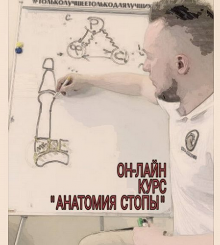 Анатомия стопы (Кирилл Шлыков)
