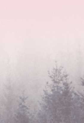 Фасции (Игорь Кутузов)