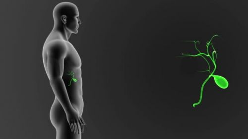 Гастро-группа 'Поджелудочная + Желчный'. 1 поток (Сергей Вялов)