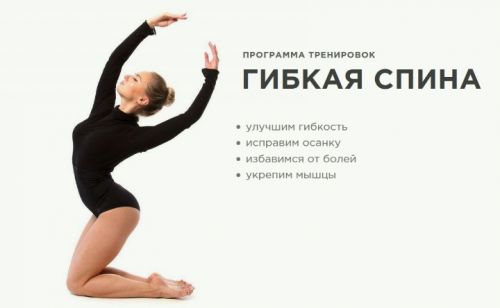 Гибкая спина (Анастасия Завистовская)